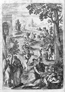 Ovid (Ovidius) - Illustration für Buch 15 - (P. Ovidii Nasonis Metamorphose libri XV mit Anmerkungen von TH. Farnabii.) Anmerkung von Thomas Farnaby (Farnabia) (1575-1647) von Unknown artist