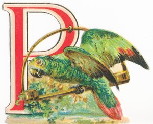 P: Papagei von Unknown artist