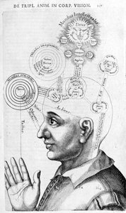 Physiognomie-Bild (Phrenologie) aus Collectio Operum von Robert Fludd (Robertus de Fluctibus). London 1617