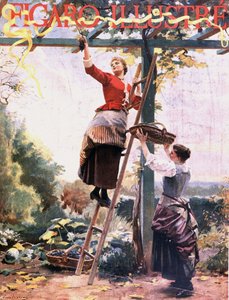 Traubenlese in hängenden Reben - in Figaro illustré, Okt. 1891