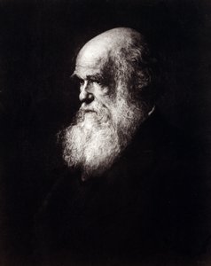 Porträt von Charles Robert Darwin (1809 - 1882) von Unknown artist