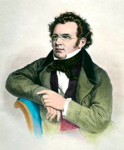 Porträt von Franz Schubert (1797-1828), österreichischer Komponist. Gravur des 19. Jahrhunderts. Privatsammlung