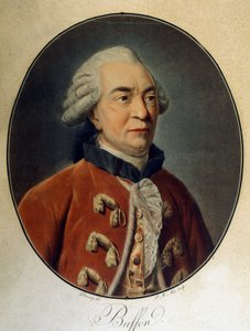 Porträt von Georges Louis Leclerc, Graf von Buffon (1707 - 1788), französischer Naturforscher und Schriftsteller von Unknown artist