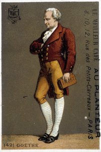 Porträt von Goethe. Zeichnung sd. 19. Jahrhundert. Porträt von Goethe zu Fuß. Zeichnung sd. 19. Jahrhundert von Unknown artist