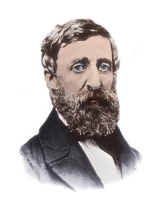 Porträt von Henry David Thoreau (1817-1862) - amerikanischer Essayist, Dichter, Philosoph, Abolitionist, Naturforscher, Steuerverweigerer, Entwicklungskritiker, Landvermesser und Historiker