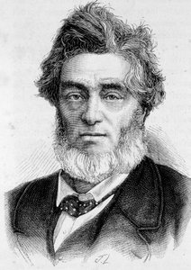Porträt von Jules Favre (1809 -1880), französischer Politiker von Unknown artist