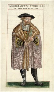 Porträt von Leonhart Fuchs: Botaniker - deutscher Arzt (1501 - 1566) - in „De Historia Stirpium commentarii badges,...“ von Leonhart Fuchs von Unknown artist