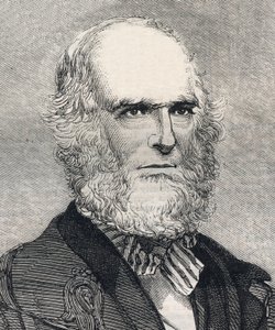 Porträt von William Cullen Bryant (1794-1878), amerikanischer Dichter. Gravur in „The Illustrated London News“ vom 23. Januar 1858. von Unknown artist