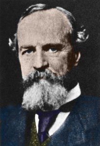 Porträt von William James (1842-1910), amerikanischer pragmatischer Philosoph.