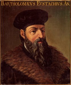 Porträt des italienischen Anatomen und Arztes Bartolomeo Eustachi (1505-1574)