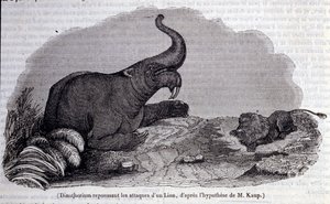 Prähistorie: Darstellung eines Dinotheriums, einer Art von Dickhäuter, der den Angriff eines Löwen abwehrt. Gravur aus dem 19. Jahrhundert von Unknown artist