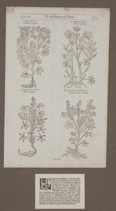 Gedruckte Seite 1217 aus 