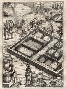 Salzgewinnung durch Verdampfen von Meerwasser in Salinen. Aus „De re metallica“ von Georgius Agricola (Georg Bauer). (Basel 1556) - Salzproduktion: Meerwasser wird in große Schalen gegossen, verdampft und hinterlässt Salzablagerungen. Gravur aus „De re met von Unknown artist