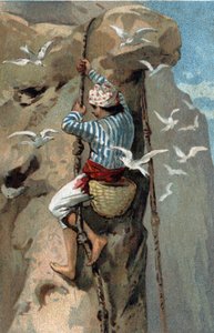 Sammlung von Salangan-Schwalbennestern in Malaysia. Chromolithographie aus dem späten 19. Jahrhundert. von Unknown artist