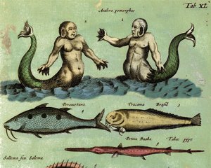 Darstellung einer Sirene und eines Tritons, einer fantastischen Meereskreatur, beschrieben in einem Zoologie-Atlas. Detail. 17. Jahrhundert