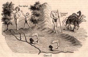 Darstellung mittelalterlicher Stämme und Tierarten: Monokel, Blemmys, Sciopoden und Kamele von Unknown artist