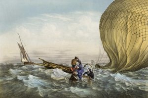 Rettung des Habs-Balls, organisiert von Herrn und Frau Durouf. Schiffbruch an der Küste Englands am 1. September von Unknown artist