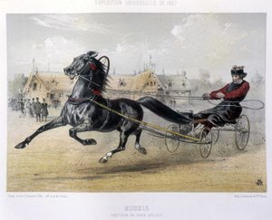 Russland: Orloff-Traber - in „The Centaur“ 1867 von Unknown artist