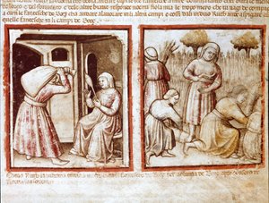 Ruth und Noemi (Naomi, Noemie) arbeiten in den Feldern von Boaz (Booz) Miniatur aus Codex 212 (oder Padovano Codice oder Bibel von Padua) 1390-1400 Rovigo, Accademia dei Concordi