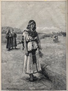 Ruth arbeitet auf dem Feld von Boaz (Booz) (Ruth und Boaz) - Gravur nach dem Gemälde von Druch-hajos von Unknown artist