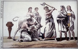 Opferung eines Stiers. Brauch in der römischen Antike. Frühere 19. Jahrhundert Gravur