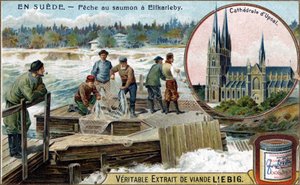 Lachsfang in Elfkarleby, Schweden. Chromolithographie, Liebig-Bild von Unknown artist