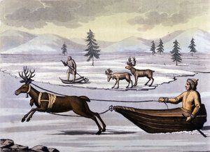 Sami: indigene Völker, die in den nördlichen Ländern (Norwegen, Finnland, Schweden und Russland) leben, bewegen sich mit Rentierschlitten oder Skiern. Gravur aus dem 19. Jahrhundert