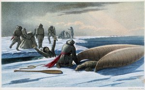 Robbenjagd: „Robbenjagd im Golf“ - in „Exploration of the Labrador Peninsula“ von Hind, London von Unknown artist