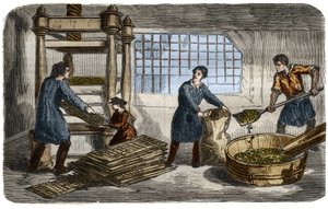 Zuckerherstellung: Saftgewinnung aus Rübenbrei. Der Brei wird in Säcke gestopft, die unter das Tablett einer hydraulischen Presse gestapelt werden. Gravur von 1859. im „Das Museum der Wissenschaften“ von Unknown artist