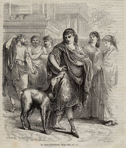 Der Hund des Alkibiades - Der Hund des Alkibiades, Staatsmann, Redner und General der Athener, 450-404 v. Chr., Gravur von 1864 von Unknown artist
