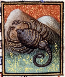 Der Skorpion. Miniatur eines Horoskops. Manuskript aus dem 15. Jahrhundert. Bibl. Trivulziana, Mailand. von Unknown artist