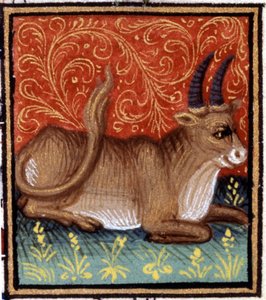 Der Stier. Miniatur eines Horoskops. Manuskript des 15. Jahrhunderts. Bibl. Trivulziana, Mailand
