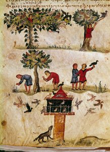 Die Zucht und Ausbildung von Falken. Miniatur aus der Jagd „Die Cynegetics“ von Oppian von Syrien (3. Jahrhundert n. Chr.), gewidmet Caracalla. 11. Jahrhundert Venedig, Biblioteca Marciana von Unknown artist