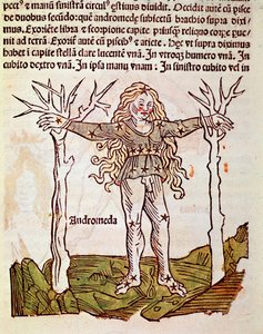 Das Sternbild Andromeda (Detail) aus „Poeticon astronomicon“ zugeschrieben dem römischen Historiker Hygin (1. Jahrhundert v. Chr.)