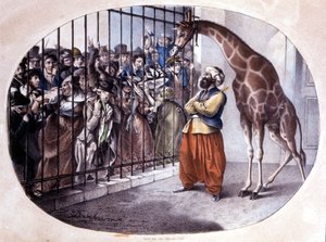 Die neugierige Menge drängte sich, um eine Giraffe hinter einem Tor zu sehen. Lithographie von Danhaaren. 1829 von Unknown artist