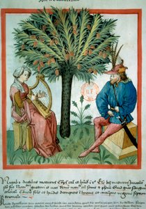 Die Dattelernte (Illumination aus dem Tacuinum sanitatis) von Unknown artist
