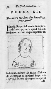 Die weibliche Brust. Seite aus „Tractatus physiologicus de pulchritudine“ von Ernesto Venio (1612)