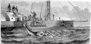 Der erste Riesenkalmar, der 1861 von der französischen Korvette Alecton gefangen wurde. Als die Besatzung ihn an Bord hievte, brach er in zwei Teile und verschwand im Meer. Gravur aus dem späten 19. Jahrhundert. Breton