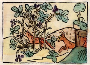Der Fuchs und die Trauben. Fabel von Äsop von Unknown artist