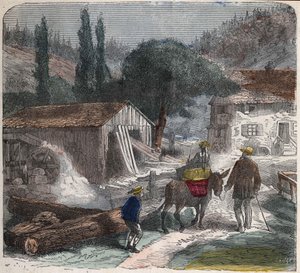 Das Sägewerk. Illustration des 19. Jahrhunderts. Bianchetti Sammlung
