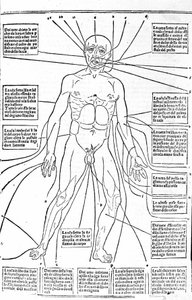 Dieses Bild zeigt die Stellen des Körpers oder die Praxis des Aderlasses je nach Schmerz. Abhandlung der Medizin von Gerolamo Cardano (Cardanus Hieronymus), Florenz