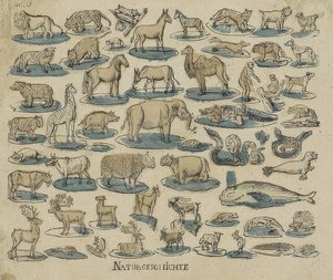 Tiere