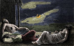 Vampirfledermaus saugt das Blut schlafender Menschen bei Vollmondnächten. Kupferstich des 19. Jahrhunderts von Unknown artist