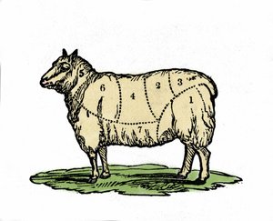 Verschiedene Stücke von Schafsfleisch. Illustration aus dem späten 19. Jahrhundert. von Unknown artist
