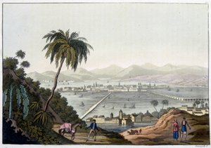 Ansicht von Mexiko-Stadt, Mexiko. In „Le costume ancien et moderne“ von Unknown artist