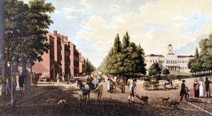Ansicht von New York: Broadway und Rathaus. SD-Lithographie um die Mitte des 19. Jahrhunderts von Unknown artist