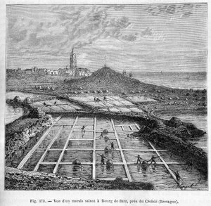 Ansicht eines Salzsumpfes in Bourg de Batz, nahe Croisic (Bretagne) - in „Die Wunder der Industrie“ von Louis Figuier von Unknown artist