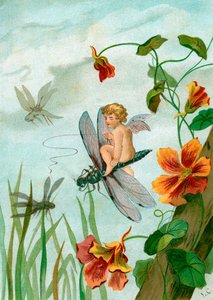Geflügelte Fee reitet auf einer Libelle in der Nähe von Kapuzinerkresseblumen von Unknown artist