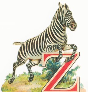Z: Zebra von Unknown artist