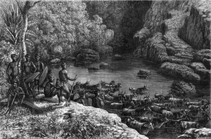 Zululand in Afrika: Da der Wald nicht die notwendigen Ressourcen bietet, ist der Zulu-Stamm gezwungen, in die Ebenen hinabzusteigen, wo sie Landwirtschaft betreiben und Vieh züchten. Gravur in "La Nature" von Unknown artist